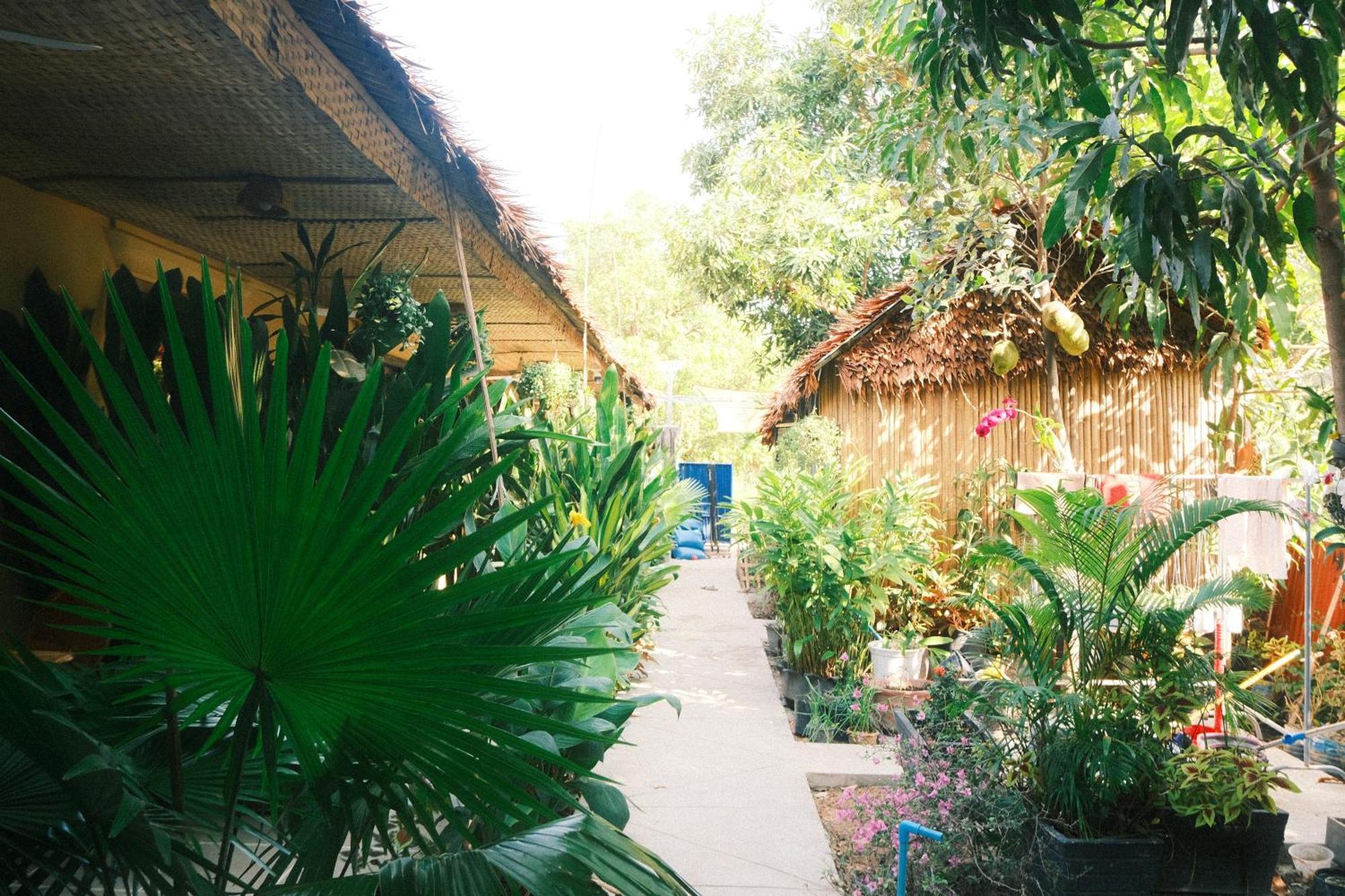 Siem Reap Homesteading II Extérieur photo