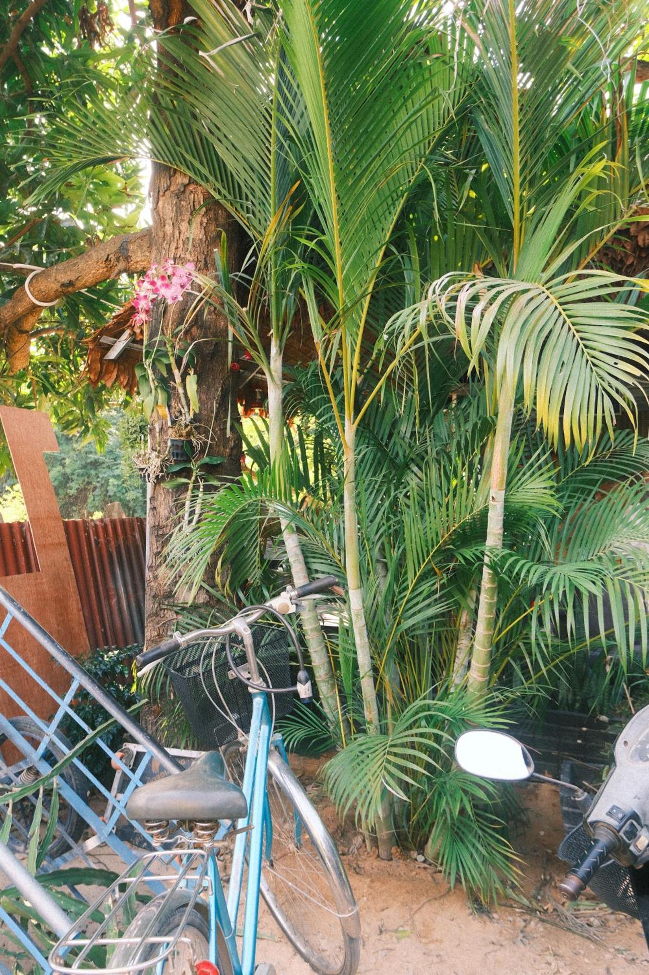 Siem Reap Homesteading II Extérieur photo